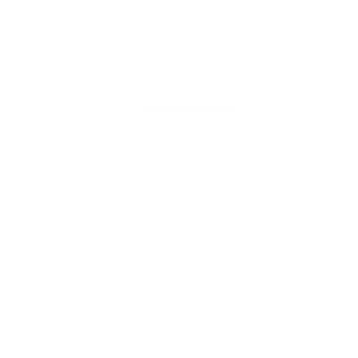 photography icon